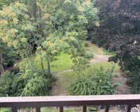 Blick in den Park