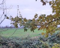 Lage hinten, Blick ..