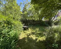 Blick in den Garten
