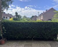Geschützte Terrasse 