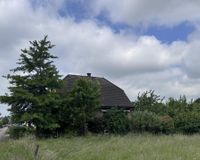 Rückansicht Garten 