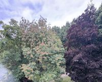 ...mit Balkon und Wowblick 