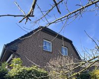 Rückansicht Garten 
