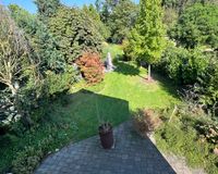 Blick in den Garten
