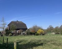 Kleine Oase der Ruhe 