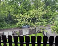 Blick Aaper Busch 