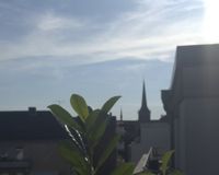 Blick zum Dom 
