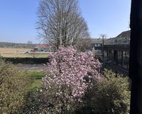 Der Frühling ist da 
