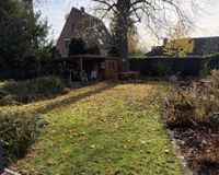 Alter Baumbestand im Garten 