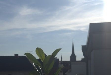 Jetzt neu: Wohnung zur Miete in Wesel