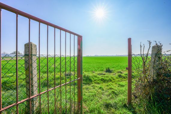 Baugrundstück in Feldrandlage: 694 m² mit Baugenehmigung für Ihr Familienzuhause mit 184 m² Wfl.