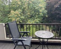 Blick in den Park 